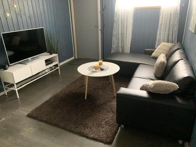 Appartamento Trivelig Leilighet Gratis Parkering Pa Stedet! Porsgrunn Esterno foto