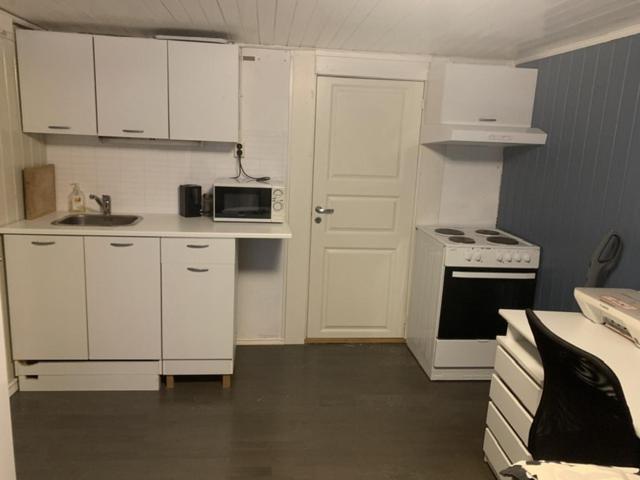 Appartamento Trivelig Leilighet Gratis Parkering Pa Stedet! Porsgrunn Esterno foto